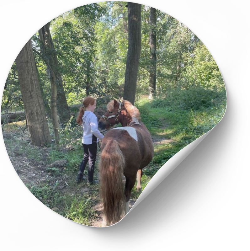 Mobile Tiergestützte Therapie